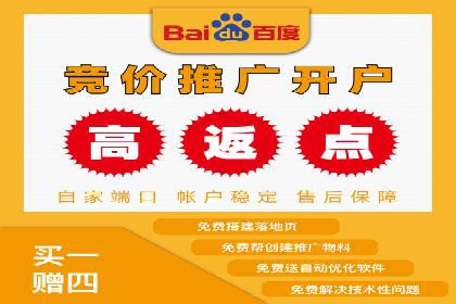 SEM竞价优化技巧：案例解析提升广告投放效果